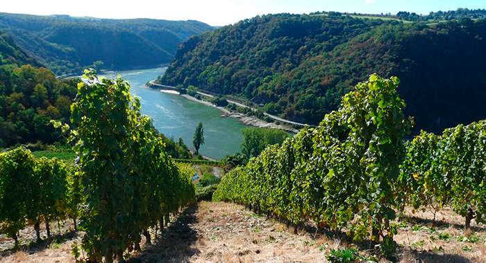 Mosel